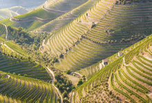 Afbeelding in Gallery-weergave laden, Portugal Magazine #1 (digitaal product)