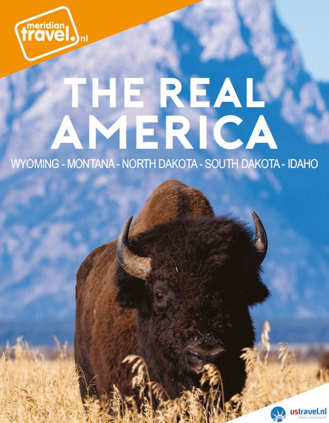 The Real America (digitaal product)